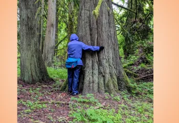 Woman hugging a tree during forest bathing on a group hike