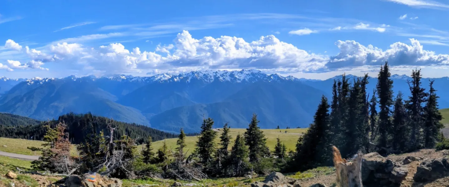 Olympic Mountains from Hurricane Hill 2024