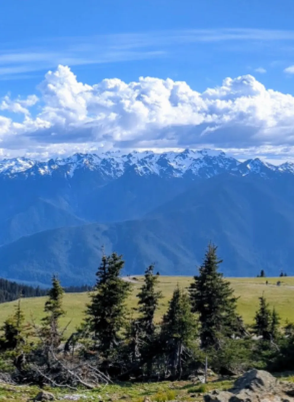 Olympic Mountains from Hurricane Hill 2024