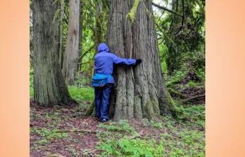 Woman hugging a tree during forest bathing on a group hike